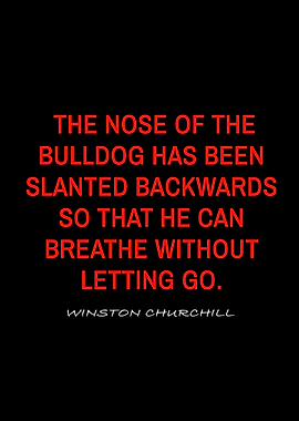 winston churchill quotes