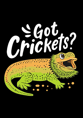 Bearded Dragon Lizard Rept