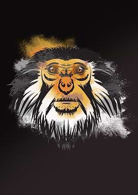 Monkey African Animal