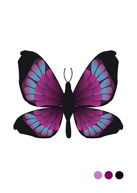 Purple Butterfly