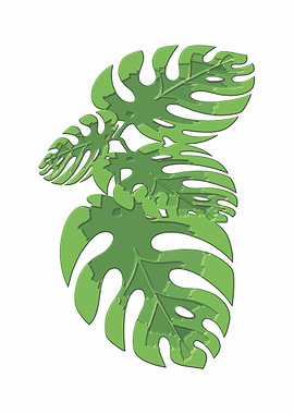 Costelas de Adao emboss