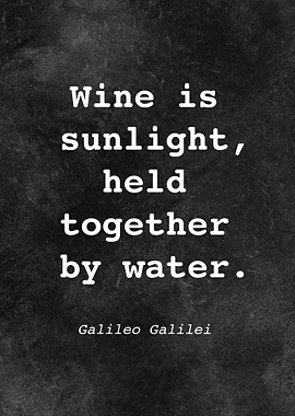 Galileo Galilei Quote D021