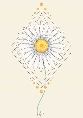 Feminine Focus Daisy