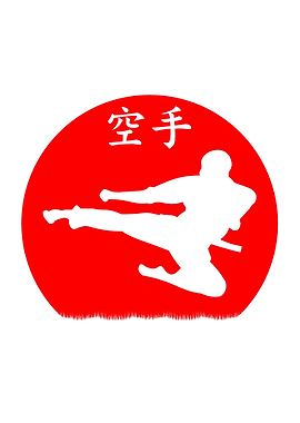 Drift kick of Karate