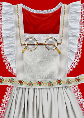 Mrs Santa Costume