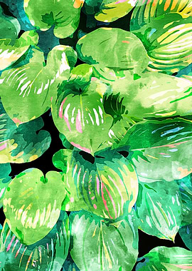 Colors Of The Jungle