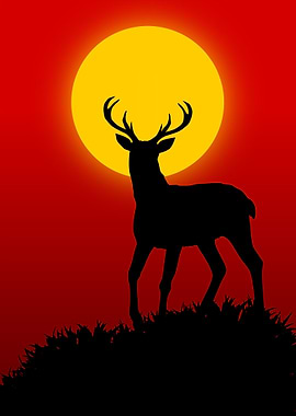 deer on sunset