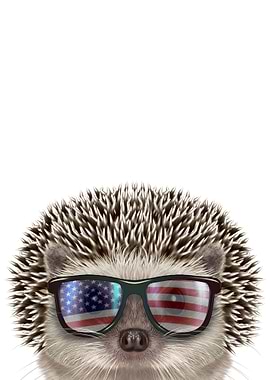 USA Patriot Hedgehog