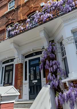 Spring in Chelsea London