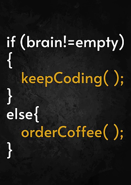 Programmer Coder