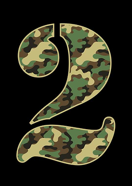 Number 2 Military Camo