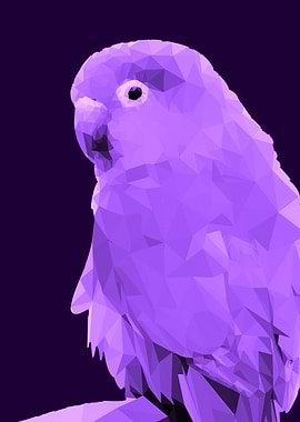 lovebird low poly