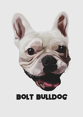 Bolt Buldog