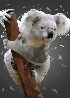 koala low poly