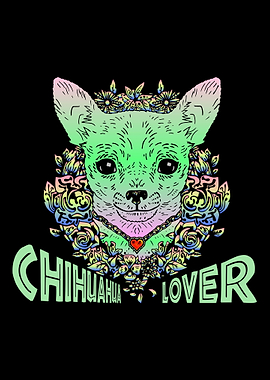 Chihuahua Hund Mama Papa