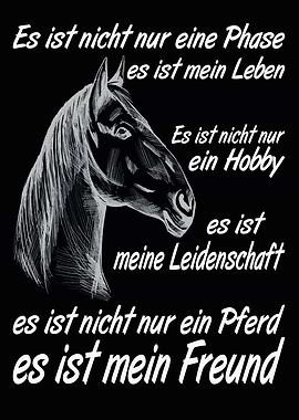 Pferde Spruch Pferd witz