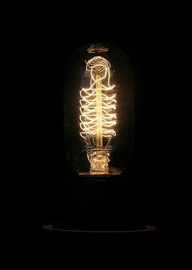 Light bulb vintage full fr