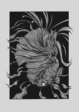 Betta Fish Line Art