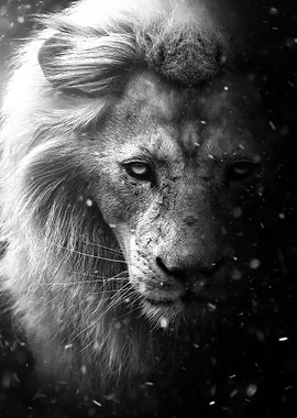 white lion snow poster