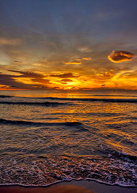 Beach sunset landscape