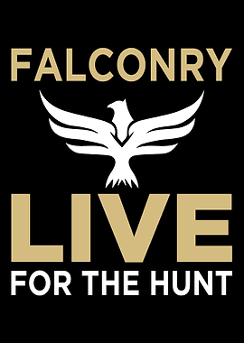 Falconry Falcon Falconer