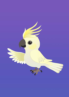 Sulphur crested cockatoo