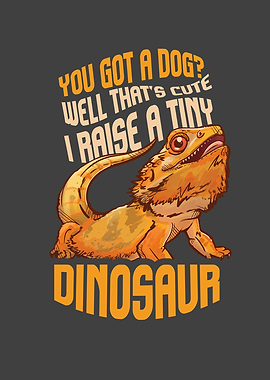 Funny Bearded Dragon Pet