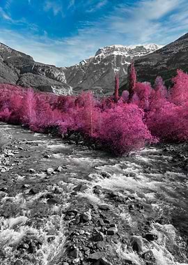 Mountainous landscape