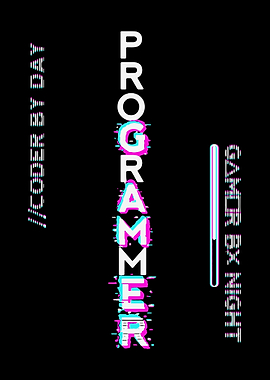 Programmer and gamer