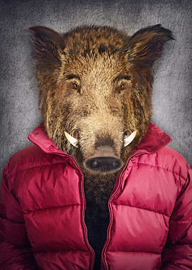 Animals in clothes 2