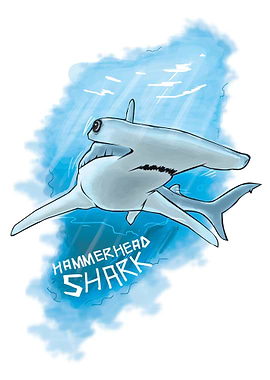 Hammerhead shark artwork