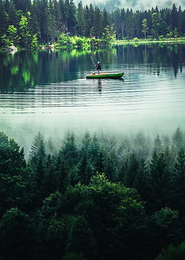 Fishing in the lake forest