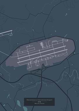 Sheremetyevo Airport