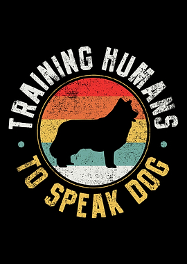 Dog Trainer Dog Training