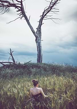 the girl and the tree