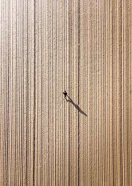 A man alone in a field