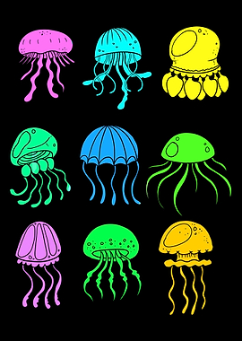 Different Kinds Jellyfish