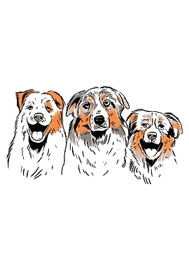 AUSTRALIAN SHEPHERDS