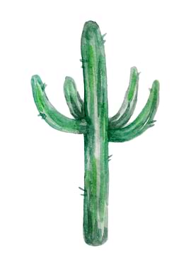 Minimalistic Cactus