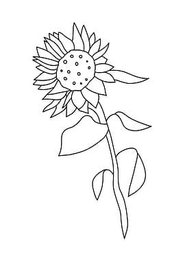 Sunflower Line Art