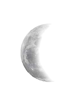 Moon Phases Art
