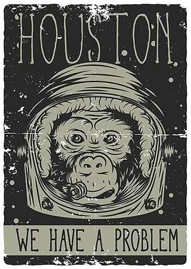 Houston We Have a Problem