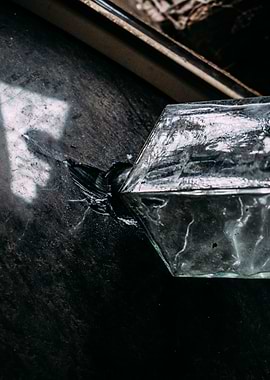 Whiskey bottle through tv