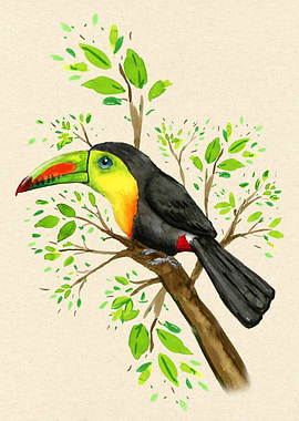 Keelbilled toucan