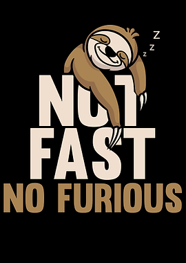 No Fast No Furious