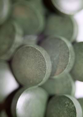 Spirulina platensis pills