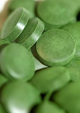 Spirulina platensis pills