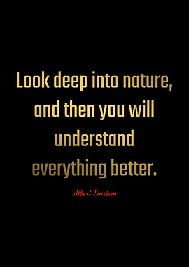 Albert Einstein Quotes