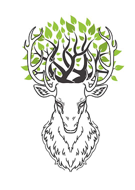 Beautiful Yoga Design