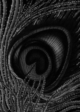Peacock Feather BnW
